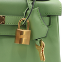 Hermes 25 Evercolor Kelly Retourne Vert Criquet Year 2024