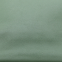Hermes 25 Evercolor Kelly Retourne Vert Criquet Year 2024