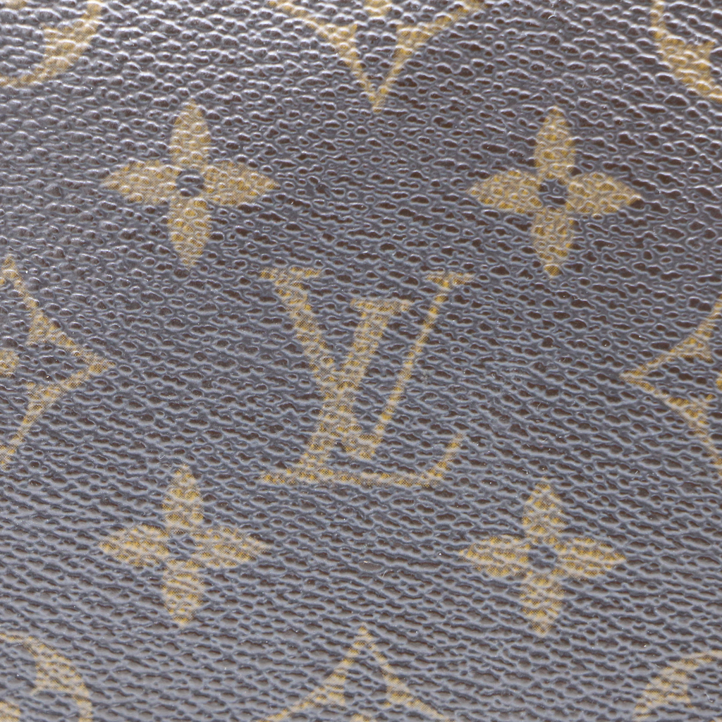 Louis Vuitton Monogram Speedy 20