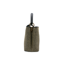 Louis Vuitton 2021 Raffa Capucines MM