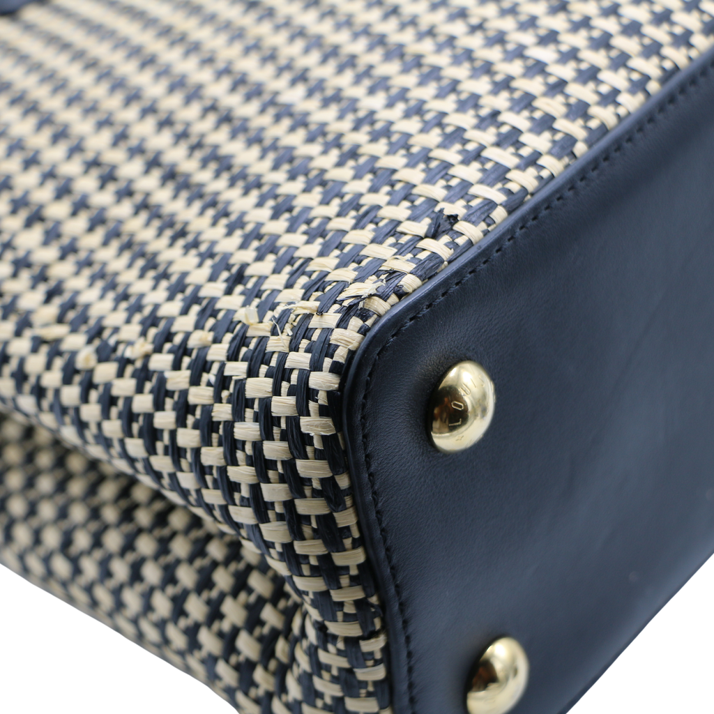 Louis Vuitton 2021 Raffa Capucines MM