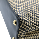 Louis Vuitton 2021 Raffa Capucines MM
