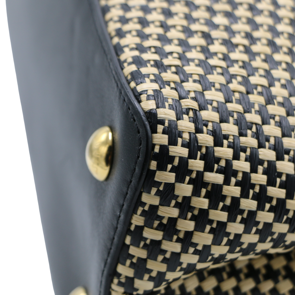 Louis Vuitton 2021 Raffa Capucines MM