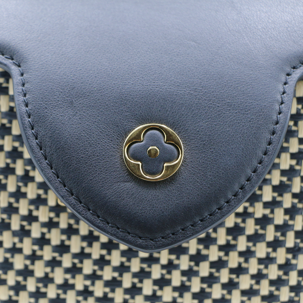 Louis Vuitton 2021 Raffa Capucines MM