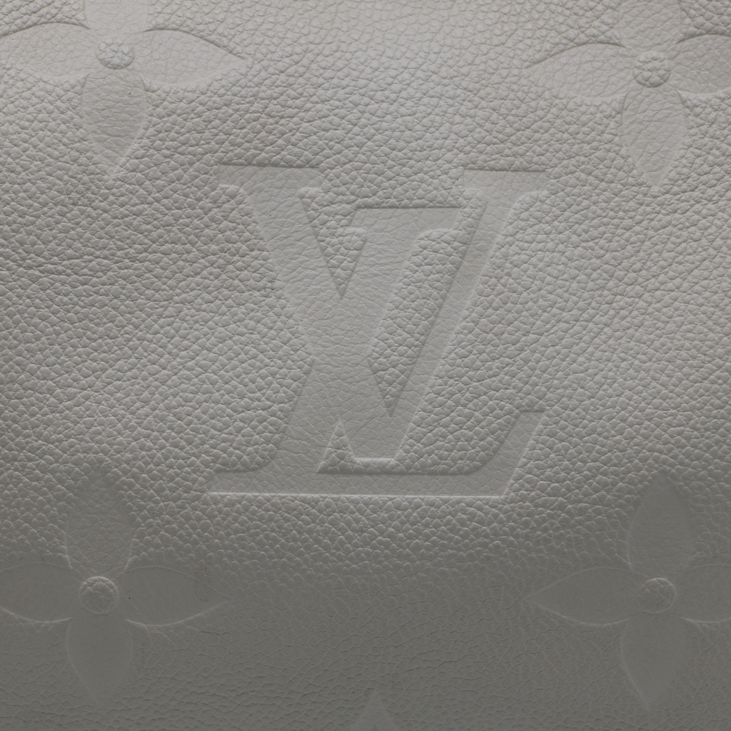 Louis Vuitton CarryAll PM Epreinte Leather