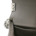 Chanel Galuchat Stingray Small Boy Flap Bag Silver