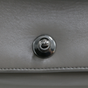 Chanel Galuchat Stingray Small Boy Flap Bag Silver