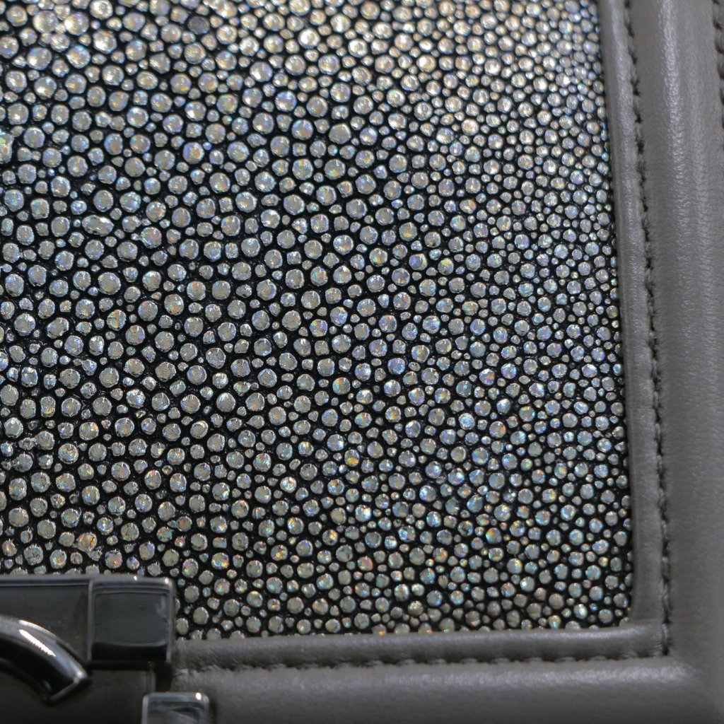 Chanel Galuchat Stingray Small Boy Flap Bag Silver