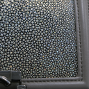 Chanel Galuchat Stingray Small Boy Flap Bag Silver