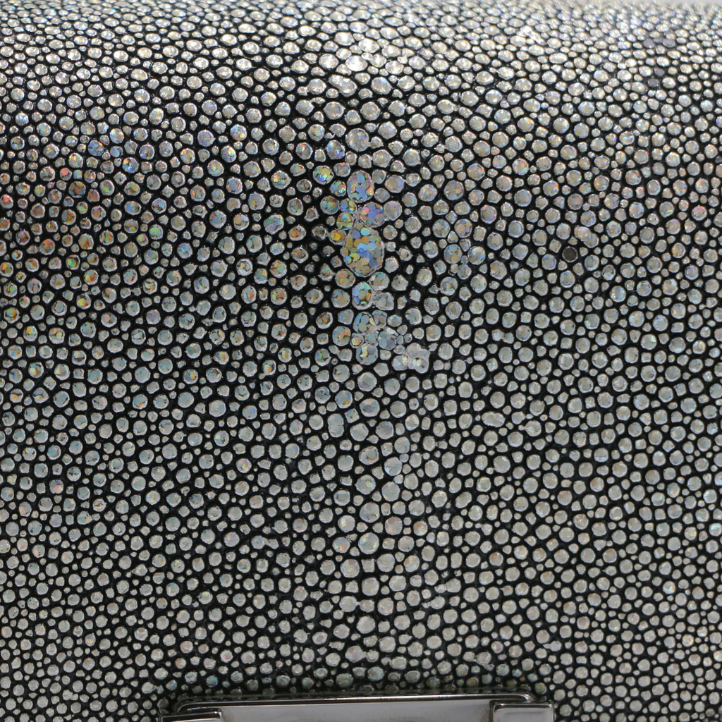 Chanel Galuchat Stingray Small Boy Flap Bag Silver