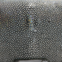 Chanel Galuchat Stingray Small Boy Flap Bag Silver