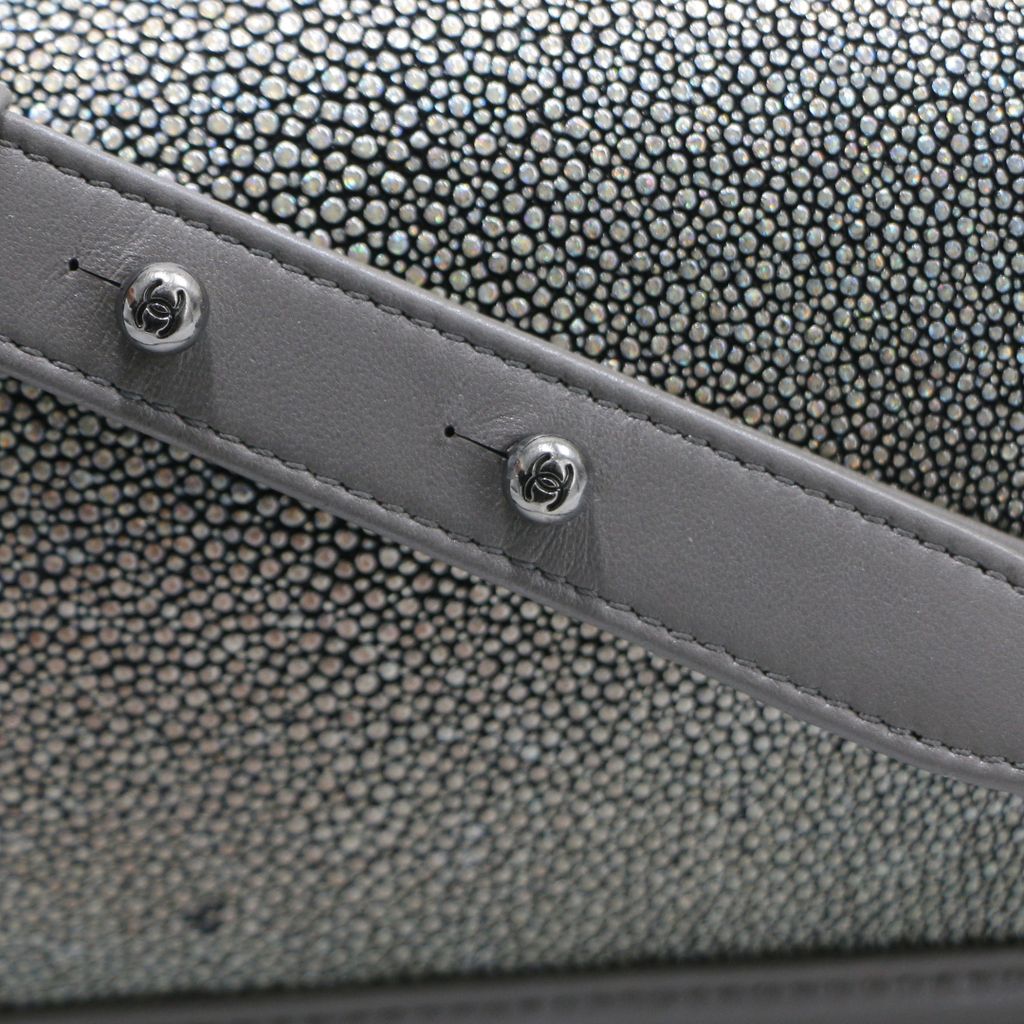 Chanel Galuchat Stingray Small Boy Flap Bag Silver