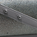 Chanel Galuchat Stingray Small Boy Flap Bag Silver