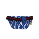 Gucci GG Belt Bag In White and Blue 502095