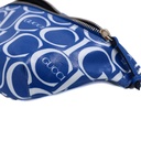 Gucci GG Belt Bag In White and Blue 502095
