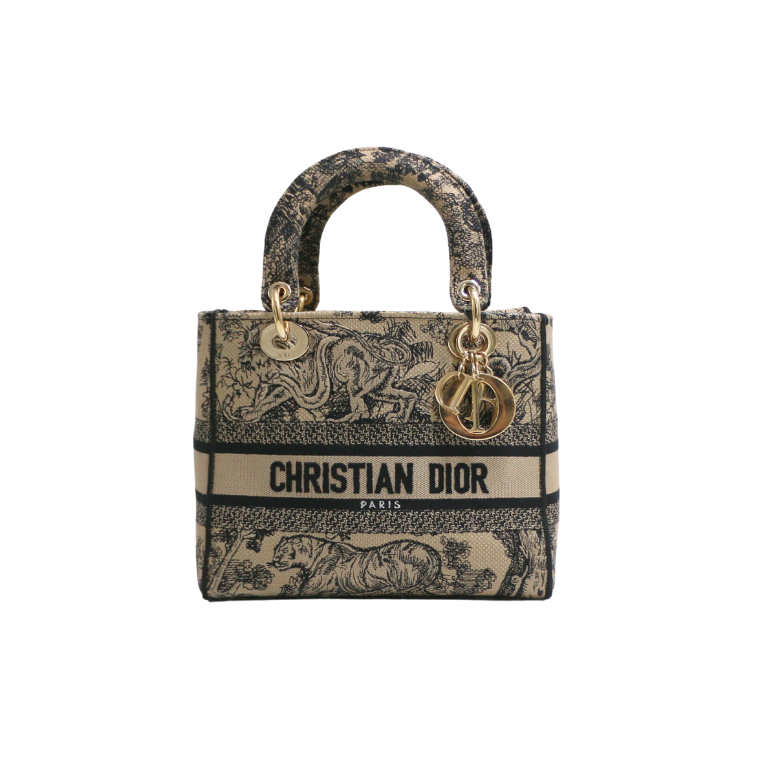 Christian Dior Canvas Embroidered Medium Lady D-Lite Handbag