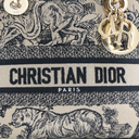Christian Dior Canvas Embroidered Medium Lady D-Lite Handbag