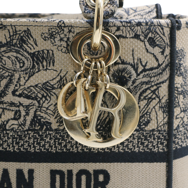 Christian Dior Canvas Embroidered Medium Lady D-Lite Handbag