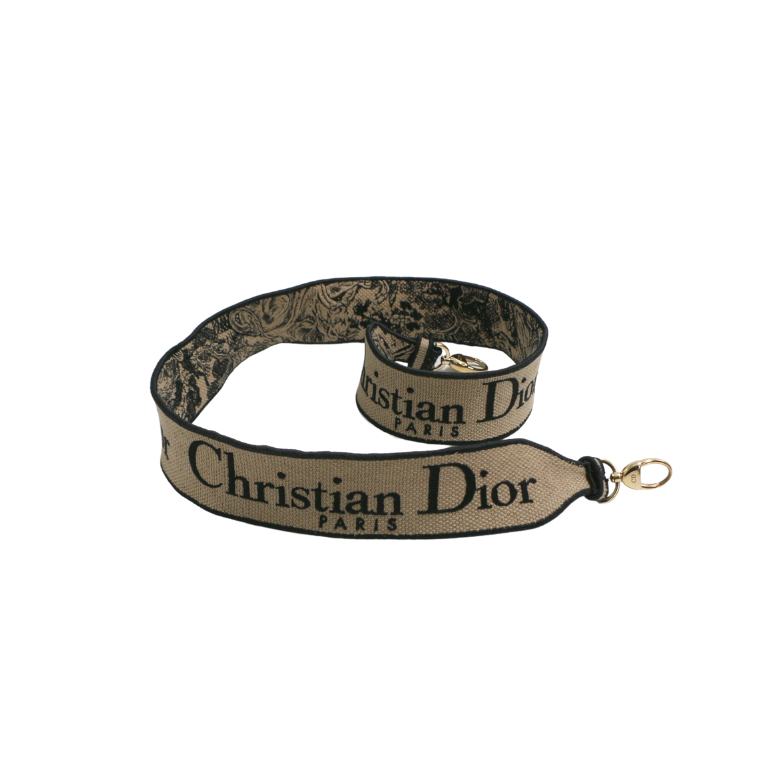 Christian Dior Canvas Embroidered Medium Lady D-Lite Handbag