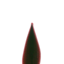 Gucci Ophidia Card Case Burgandy 838486