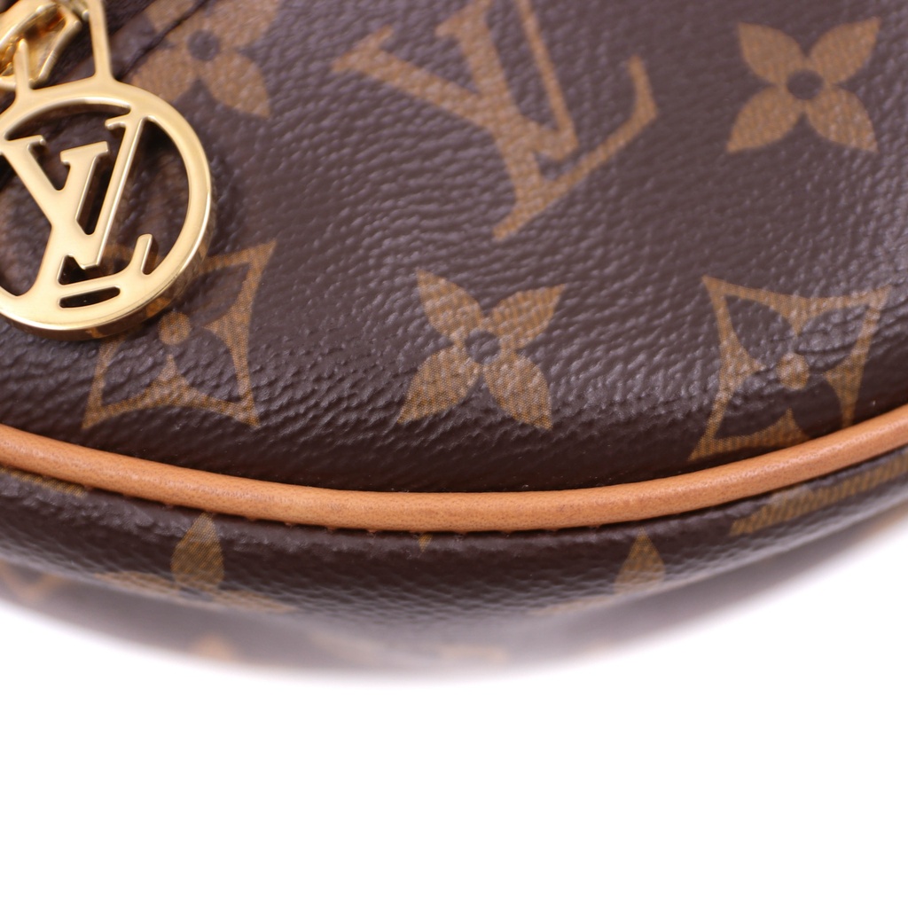 Louis Vuitton Hobo Monogram Canvas Loop PM