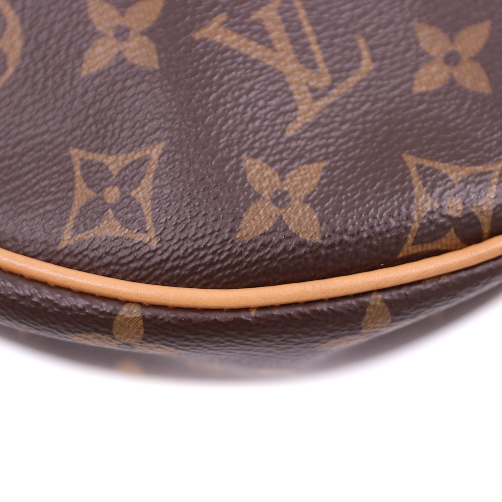Louis Vuitton Hobo Monogram Canvas Loop PM