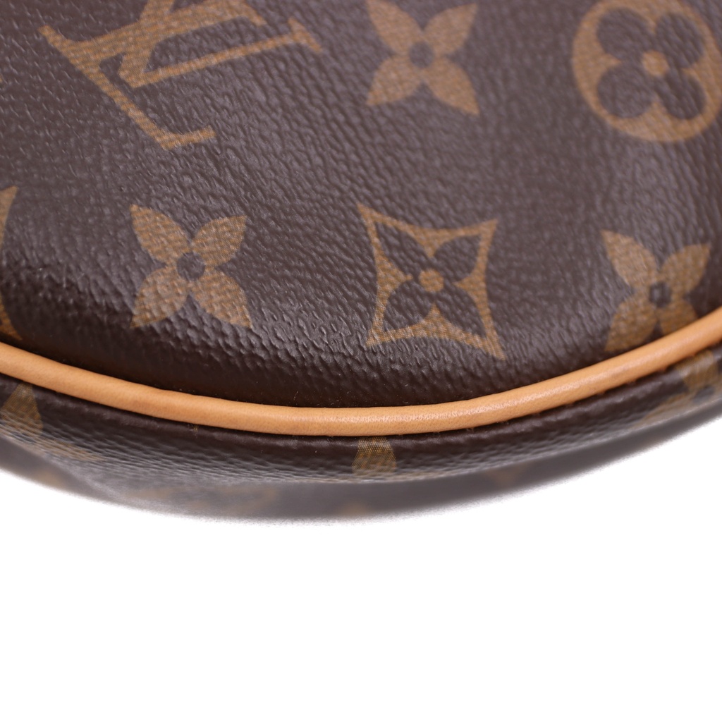 Louis Vuitton Hobo Monogram Canvas Loop PM