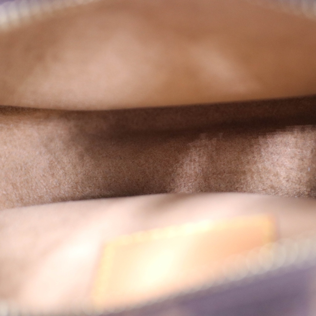 Louis Vuitton Hobo Monogram Canvas Loop PM