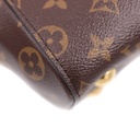 Louis Vuitton Monogram Canvas Clunny BB