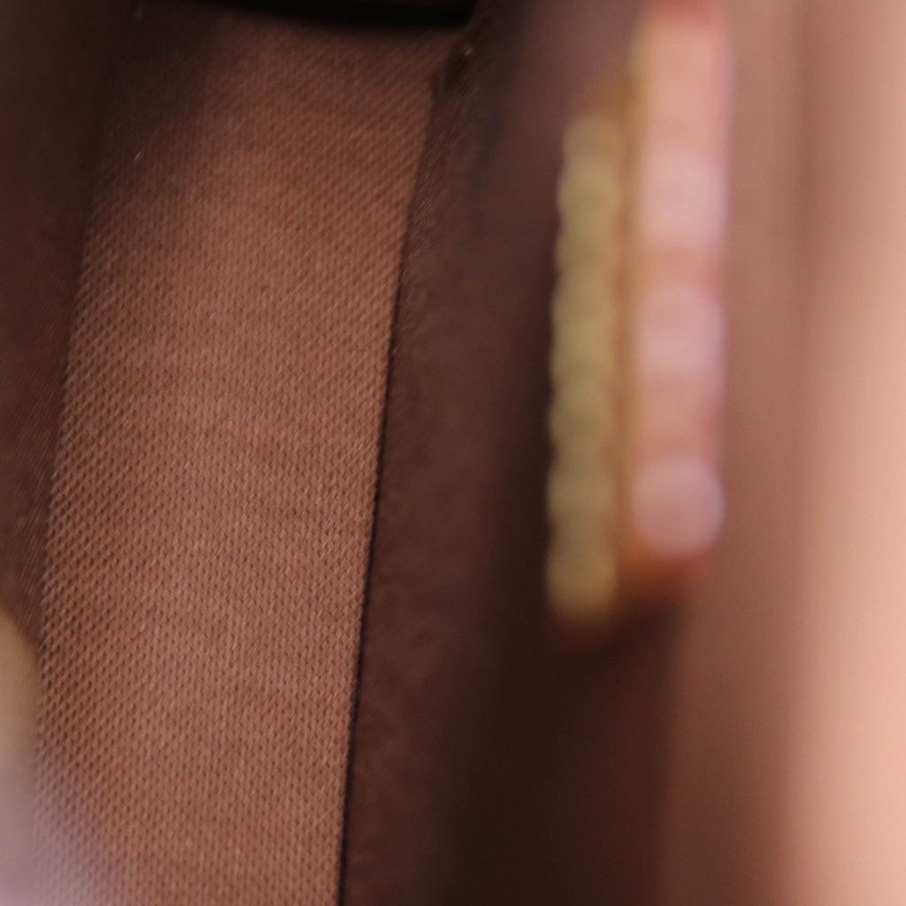 Louis Vuitton Monogram Petit Sac Plat Toile 