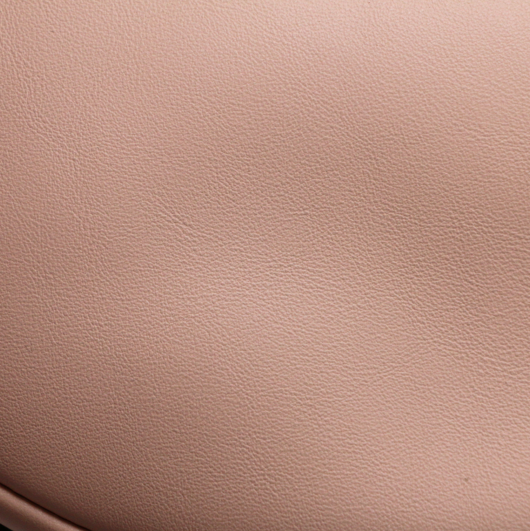 Fendi Fendigraphy Brown Shoulder Bag