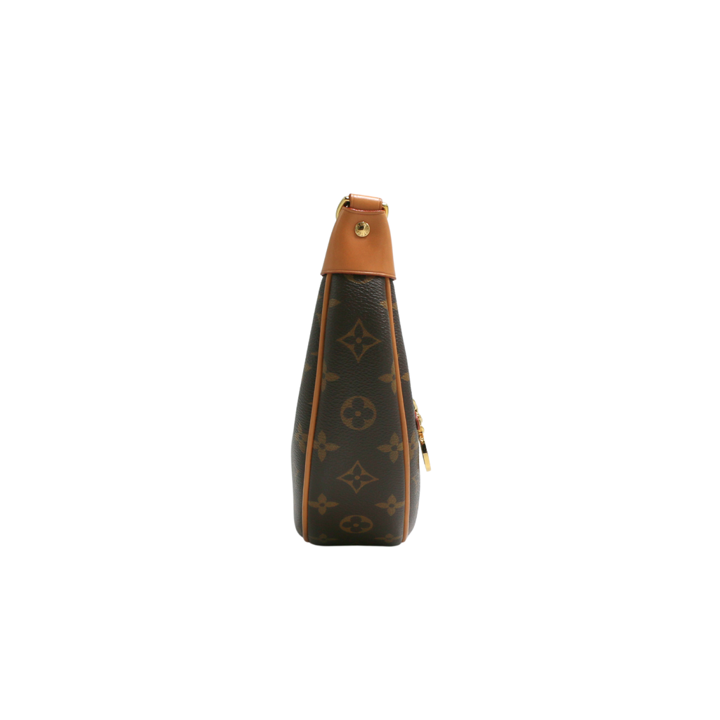 Louis Vuitton Loop Monogram Canvas