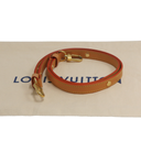 Louis Vuitton Loop Monogram Canvas