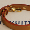 Louis Vuitton Loop Monogram Canvas