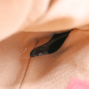 Gucci GG Marmont Mini Top Handle Black and Red Bag 583571