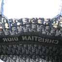Christian Dior Oblique Medium Book Tote Blue Multicolor