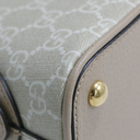 Gucci Supreme Beige Handbag With Monogram 795249