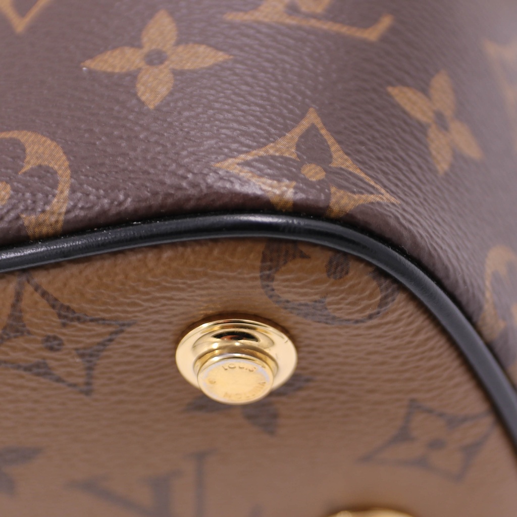 Louis Vuitton Monogram Reverse Vanity Bag