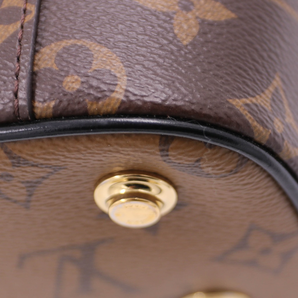 Louis Vuitton Monogram Reverse Vanity Bag