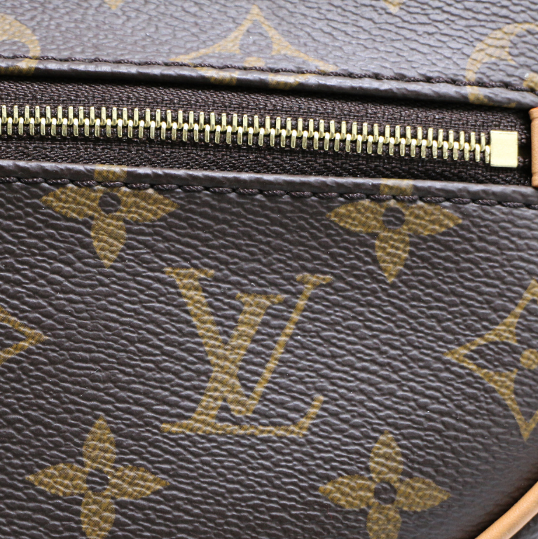 Louis Vuitton Loop Monogram Canvas Bag