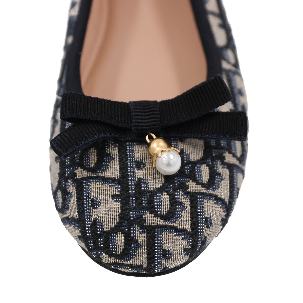 Christian Dior Poeme Ballet Flats In Blue and Beige Oblique In Size 36