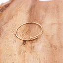 Cartier Juste un Clou Bracelet SM 750PG 16 IDT112 2019