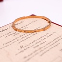 Cartier Love Bracelet Full Diamond 10PD SM 750 PG 17 FEI336 2018