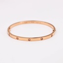 Cartier Love Bracelet Full Diamond 10PD SM 750 PG 17 FEI336 2018