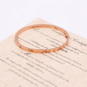 Cartier Love Bracelet Half Diamonds 6PD SM 750PG 17 LIW516 2020