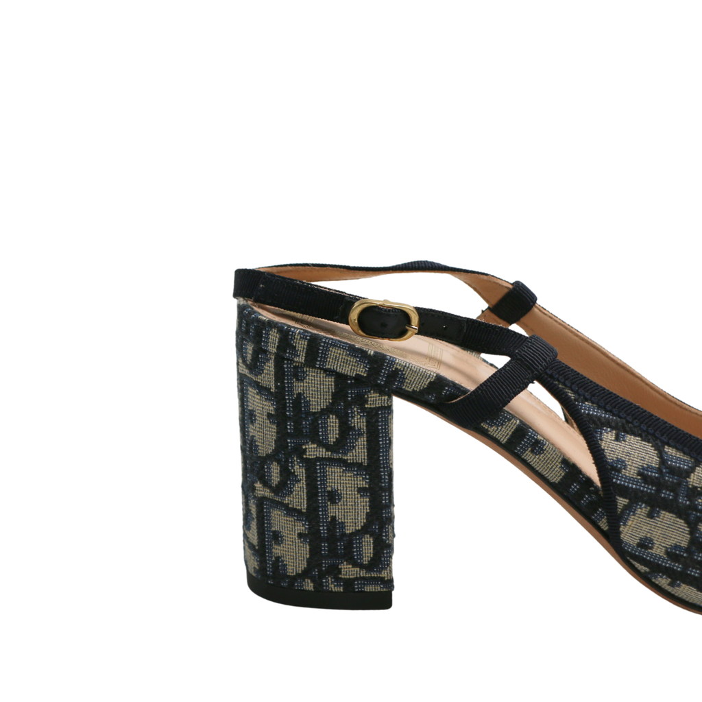 Christian Dior Idylle ballet heels in blue Iconic Toile de Jouy print Size 37