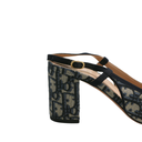 Christian Dior Idylle ballet heels in blue Iconic Toile de Jouy print Size 38