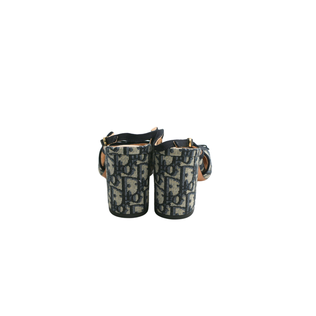 Christian Dior Idylle ballet heels in blue Iconic Toile de Jouy print Size 39 1/2