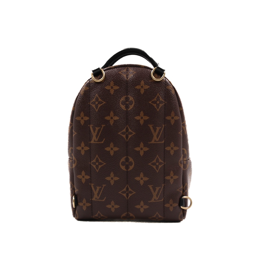 Louis Vuitton Reverse Monogram Palm Springs Mini Backpack