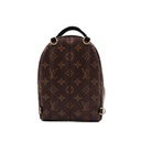 Louis Vuitton Reverse Monogram Palm Springs Mini Backpack